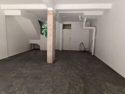 Tiong Bahru Orchid (D3), Shop House #549790531